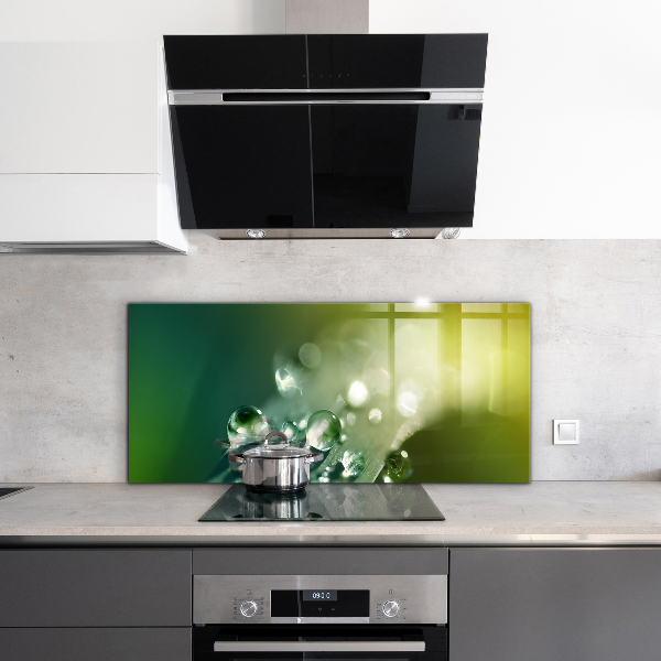 Skleněný panel Rosa na zelených listech