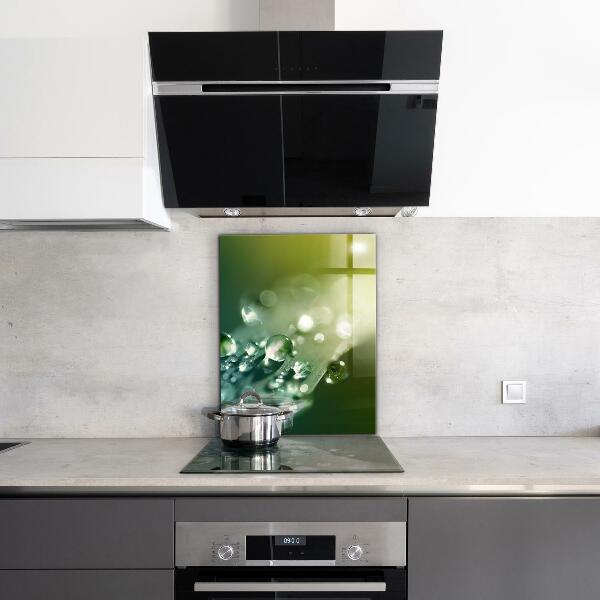 Skleněný panel Rosa na zelených listech