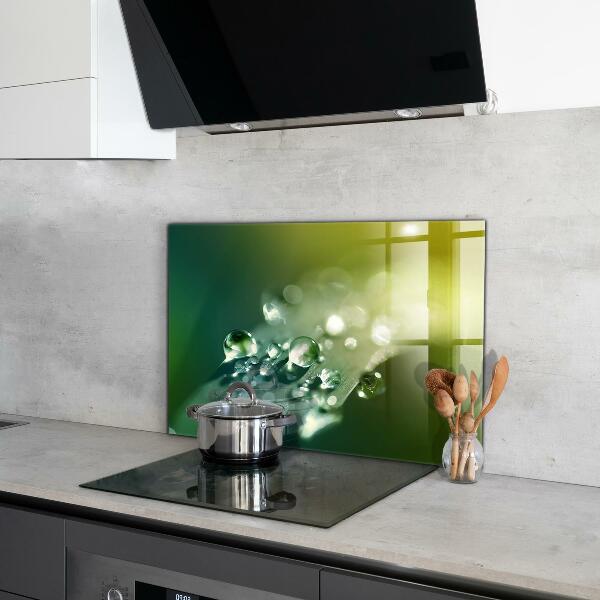 Skleněný panel Rosa na zelených listech