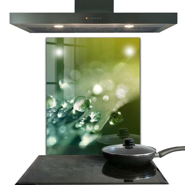 Skleněný panel Rosa na zelených listech