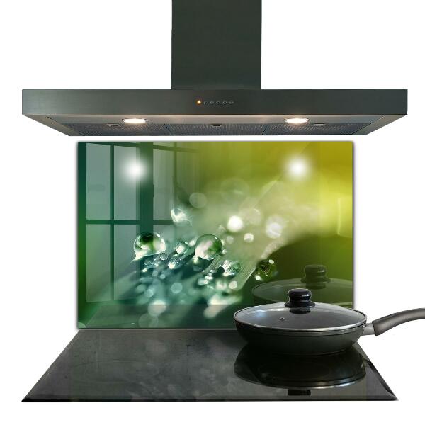 Skleněný panel Rosa na zelených listech