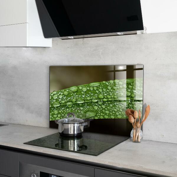 Skleněný panel Zelený list po dešti