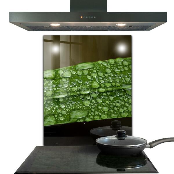 Skleněný panel Zelený list po dešti