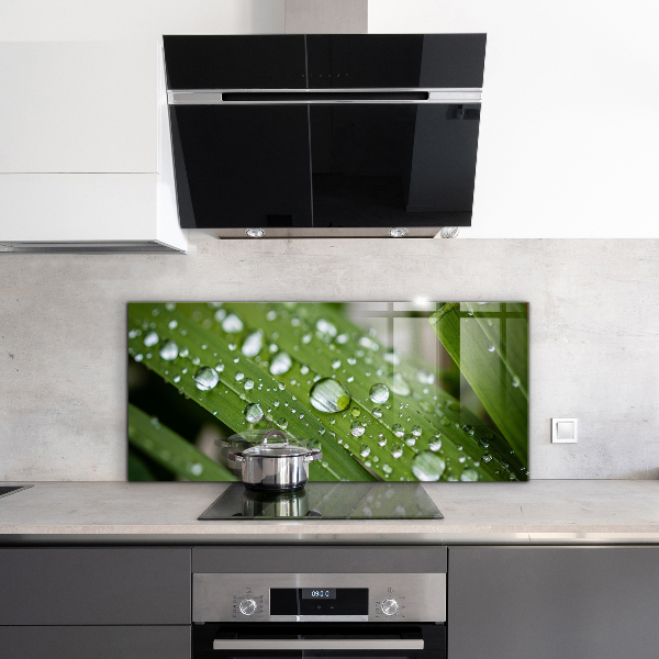 Skleněný panel Kapky rosy na trávě