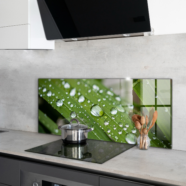 Skleněný panel Kapky rosy na trávě