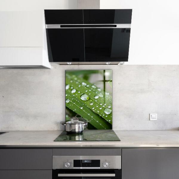 Skleněný panel Kapky rosy na trávě