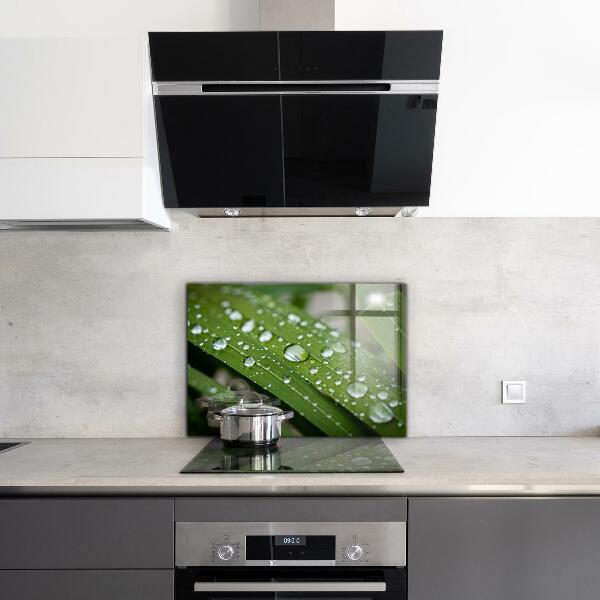 Skleněný panel Kapky rosy na trávě