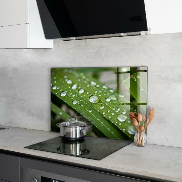 Skleněný panel Kapky rosy na trávě