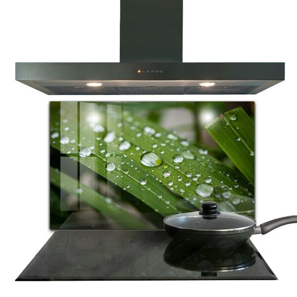 Skleněný panel Kapky rosy na trávě