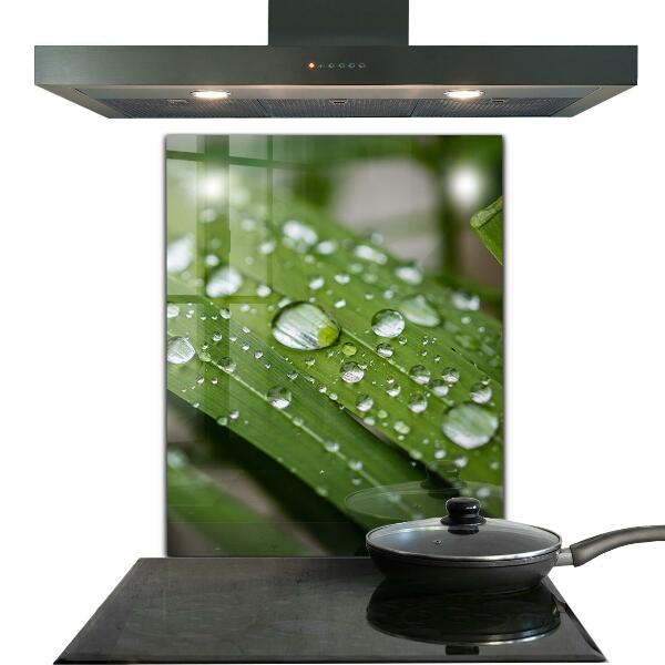 Skleněný panel Kapky rosy na trávě