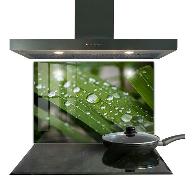 Skleněný panel Kapky rosy na trávě