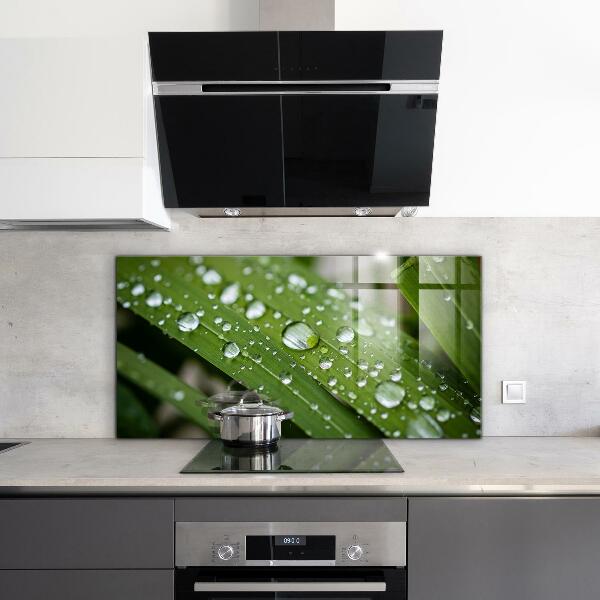 Skleněný panel Kapky rosy na trávě