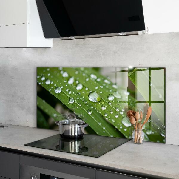 Skleněný panel Kapky rosy na trávě