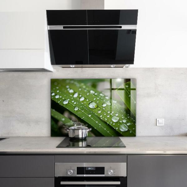 Skleněný panel Kapky rosy na trávě