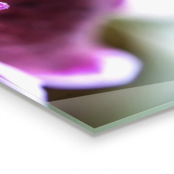 Skleněný panel Pink flower nature details