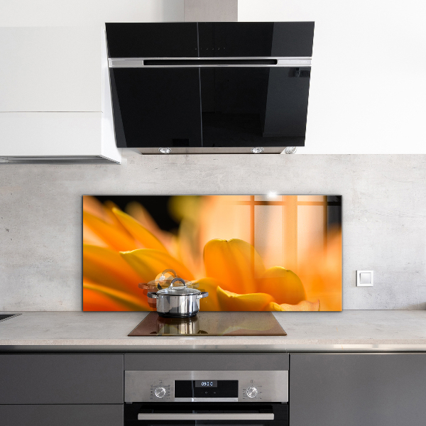 Skleněný panel Gerber květina