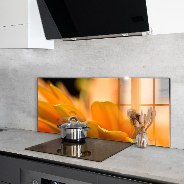 Skleněný panel Gerber květina