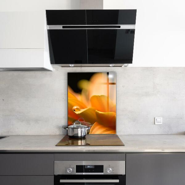 Skleněný panel Gerber květina