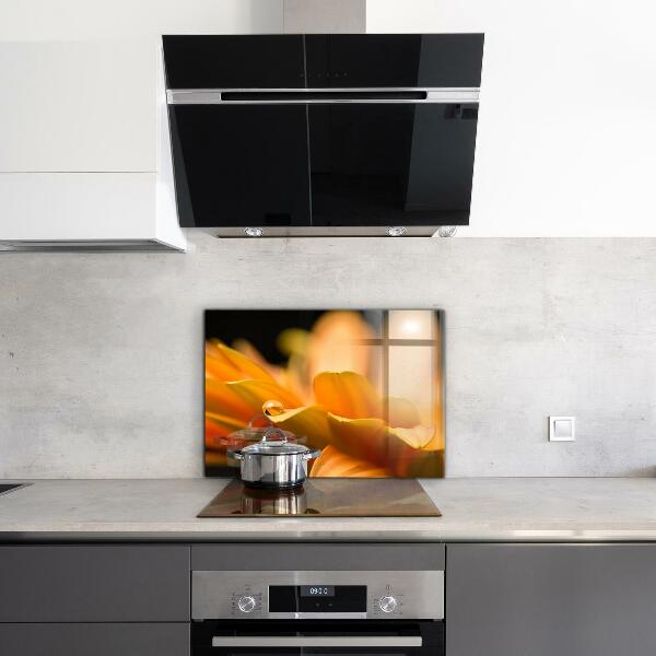 Skleněný panel Gerber květina