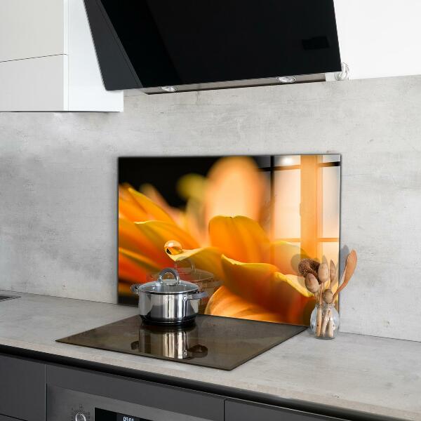 Skleněný panel Gerber květina