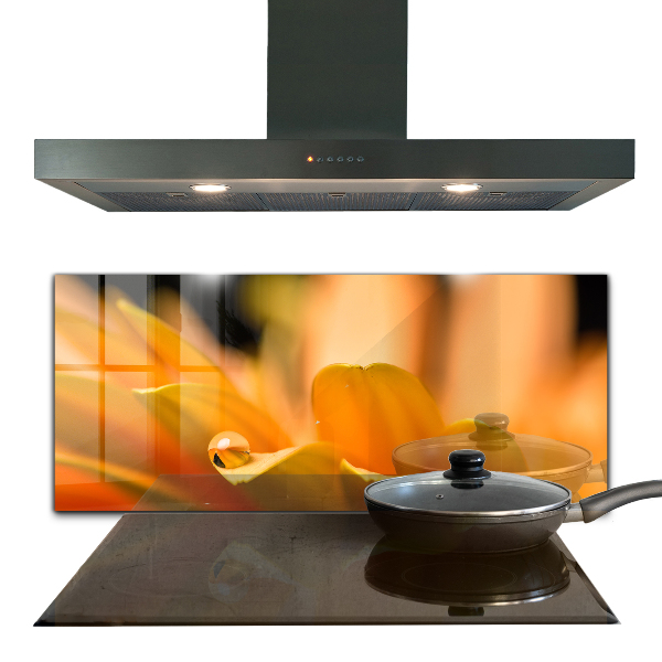 Skleněný panel Gerber květina