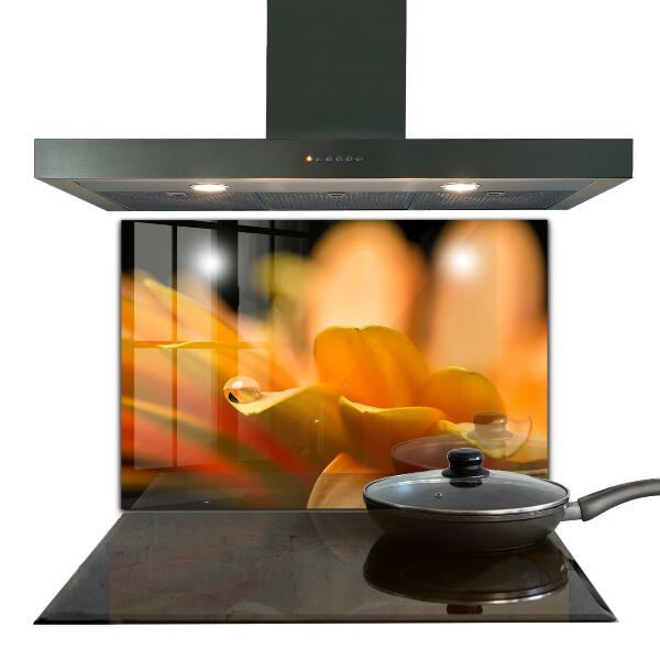 Skleněný panel Gerber květina