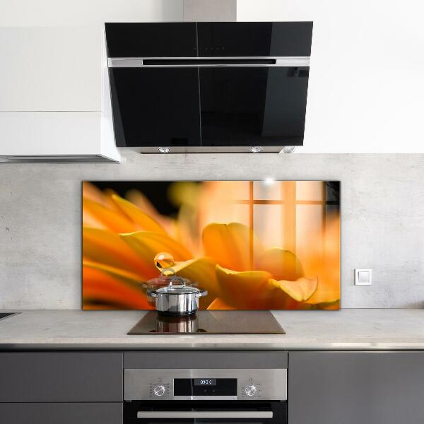 Skleněný panel Gerber květina