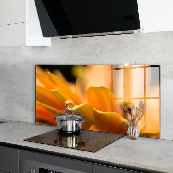 Skleněný panel Gerber květina