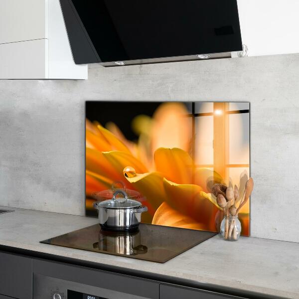 Skleněný panel Gerber květina