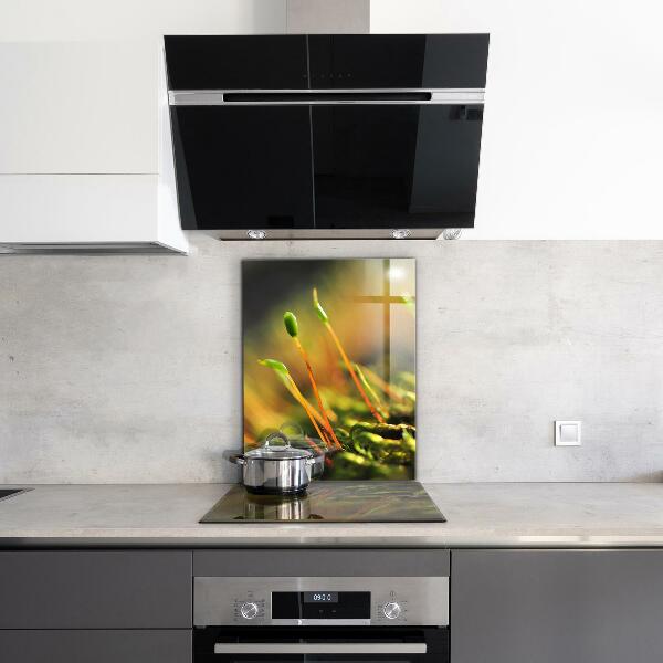 Skleněný panel Podrobnosti o lesním mechu