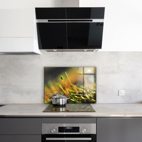 Skleněný panel Podrobnosti o lesním mechu