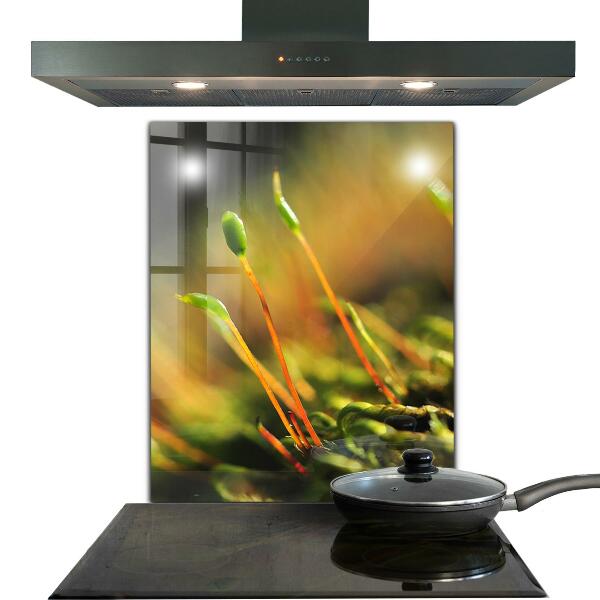 Skleněný panel Podrobnosti o lesním mechu