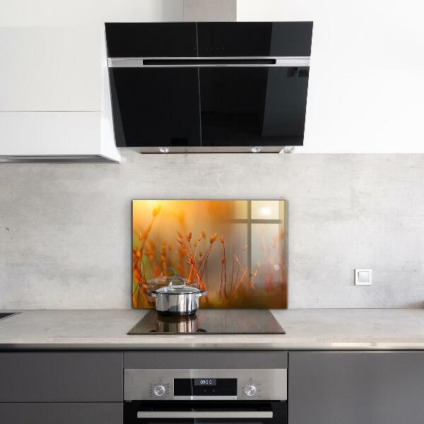 Skleněný panel Obilné pole při západu slunce