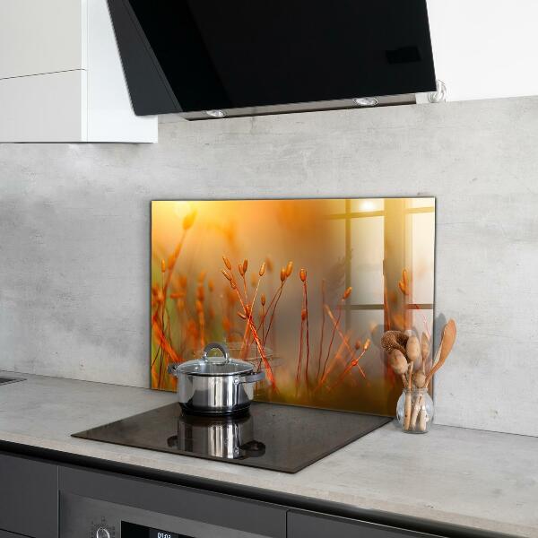 Skleněný panel Obilné pole při západu slunce