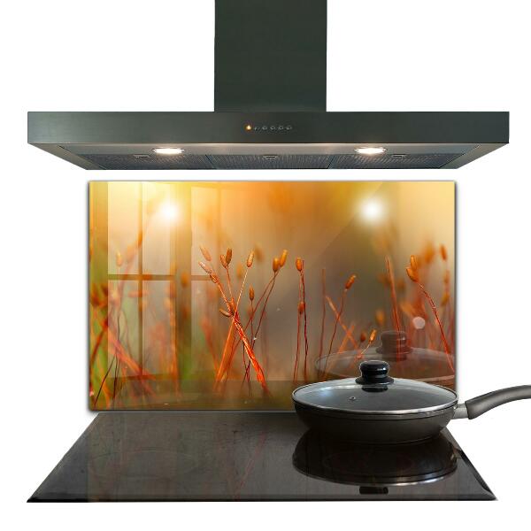 Skleněný panel Obilné pole při západu slunce