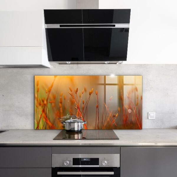 Skleněný panel Obilné pole při západu slunce