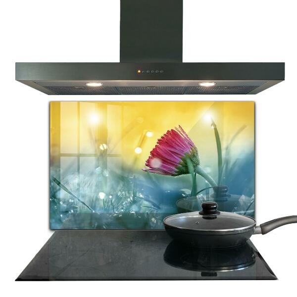 Skleněný panel Jemná daisy na louce