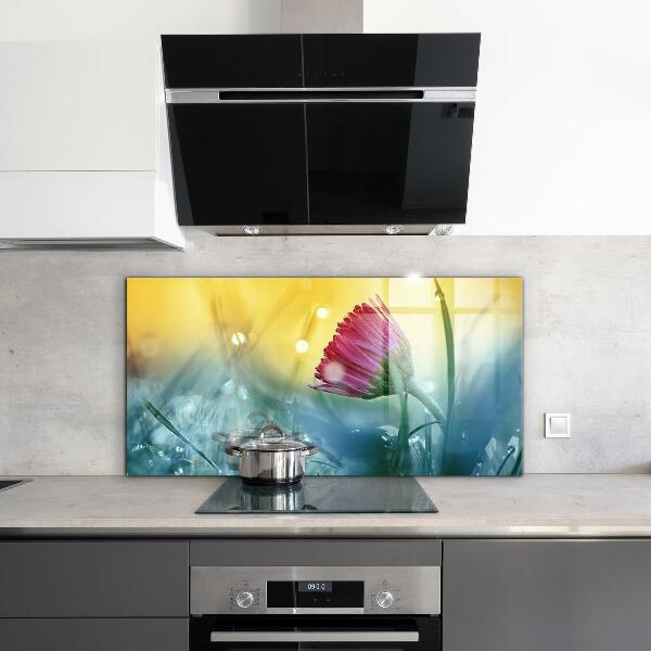 Skleněný panel Jemná daisy na louce