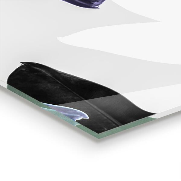 Skleněný panel Exotické listy ilustrace