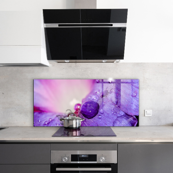 Skleněný panel Fialový květ s ranní rosou