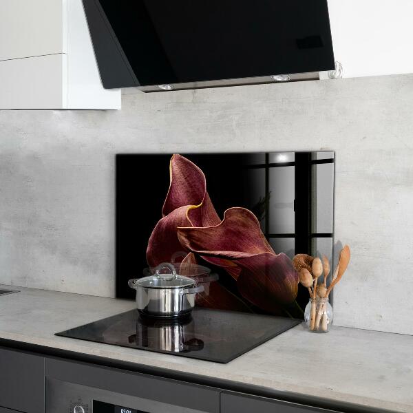 Skleněný panel Elegantní delikátní list