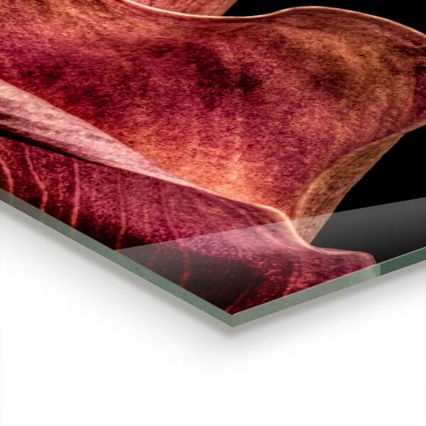 Skleněný panel Elegantní delikátní list