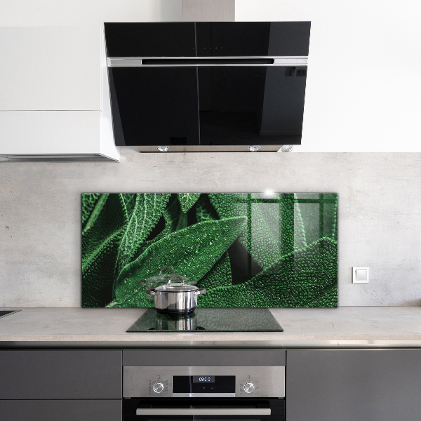 Skleněný panel Zelené listy po dešti