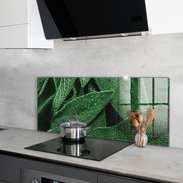 Skleněný panel Zelené listy po dešti