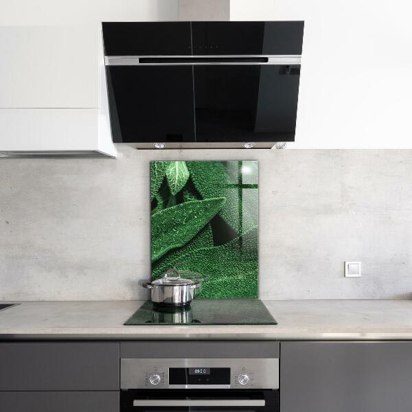 Skleněný panel Zelené listy po dešti