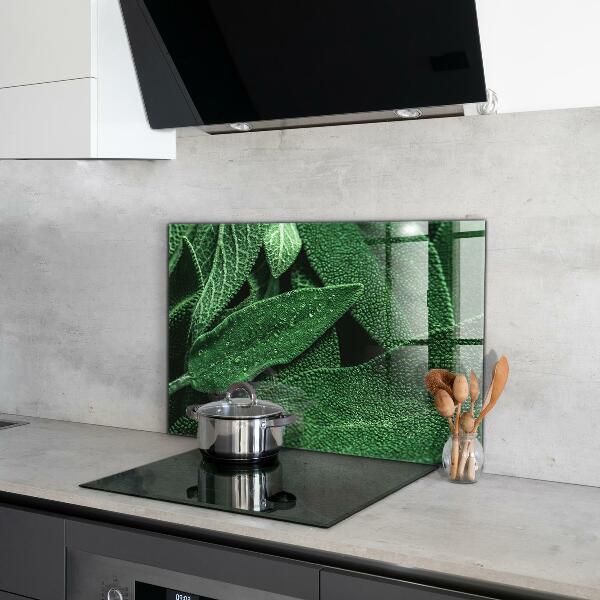 Skleněný panel Zelené listy po dešti