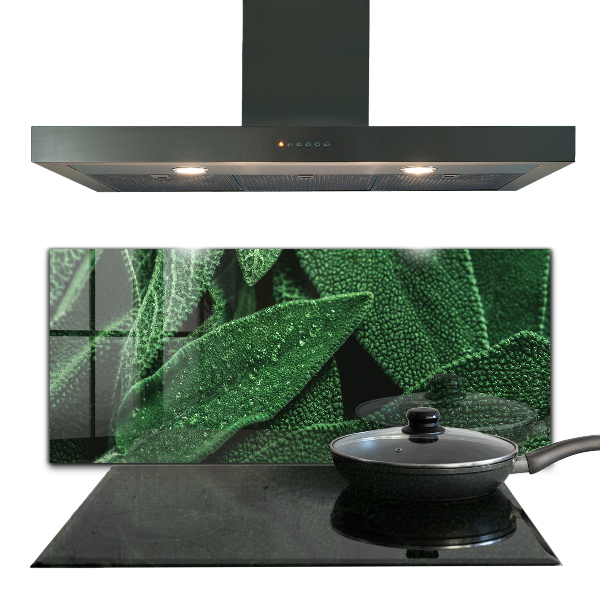 Skleněný panel Zelené listy po dešti