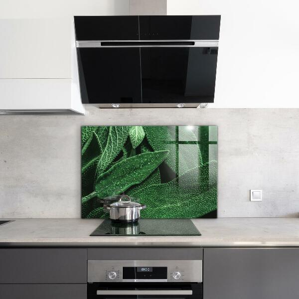 Skleněný panel Zelené listy po dešti