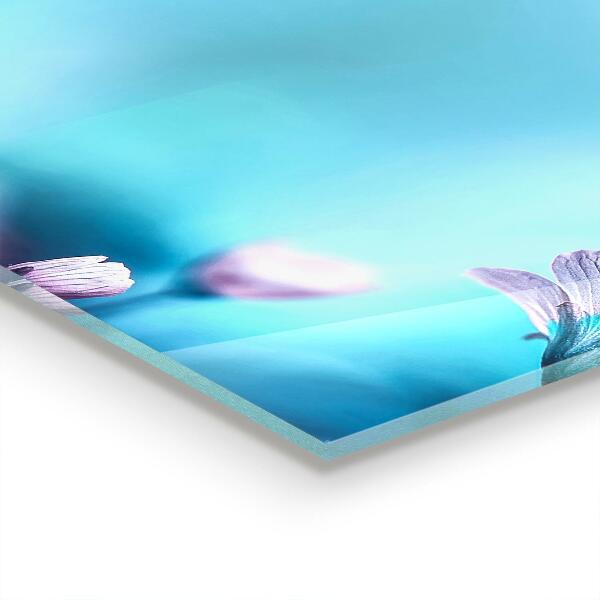 Skleněný panel Květiny za ranní mlhou