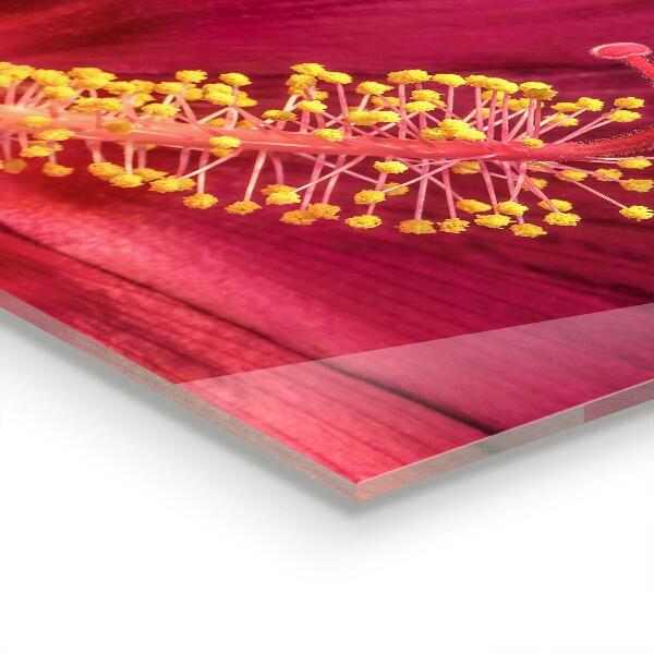 Skleněný panel Růžový ibišek